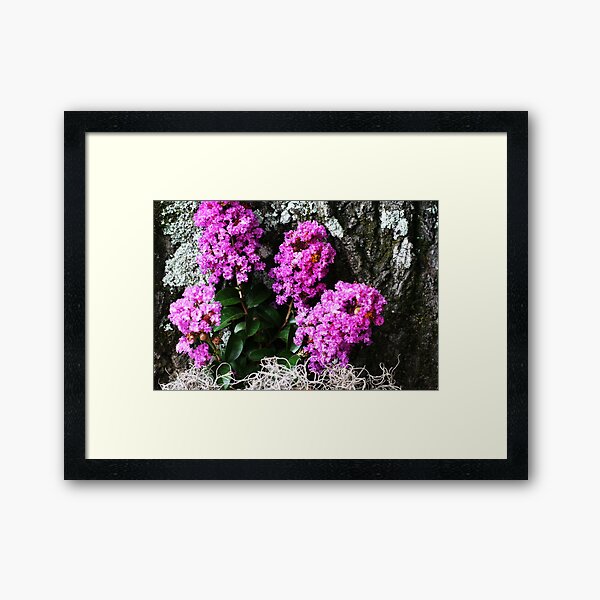 Item preview, crepe myrtle & mossy tree designed and sold by daniels.