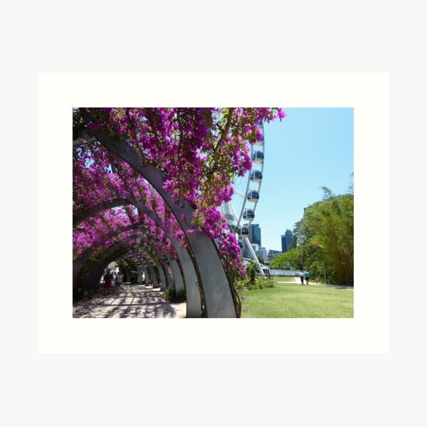 Item preview, The Arbour, South Bank designed and sold by PhotosByG.