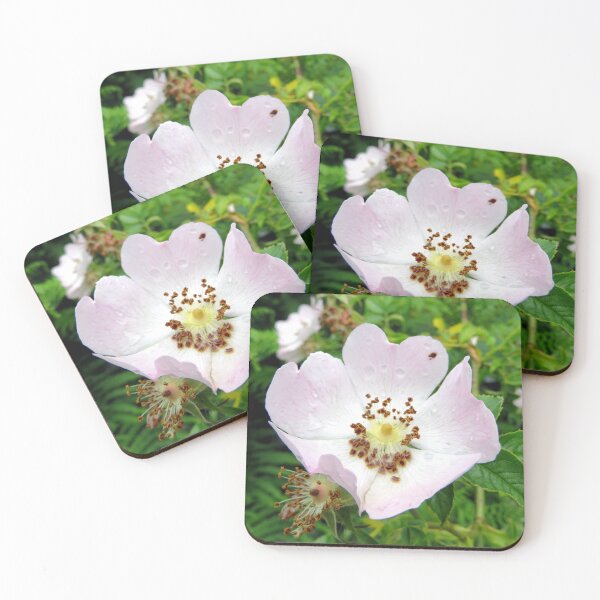 Item preview, flower designed and sold by KathleenDawson.