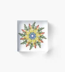 Rainforest Frogs Photo Collage - Fauna Mandala Acrylic Block