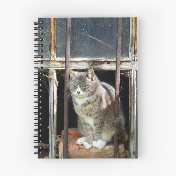Item preview, Owner of the house died but cat still waiting designed and sold by Elzbieta Fazel.