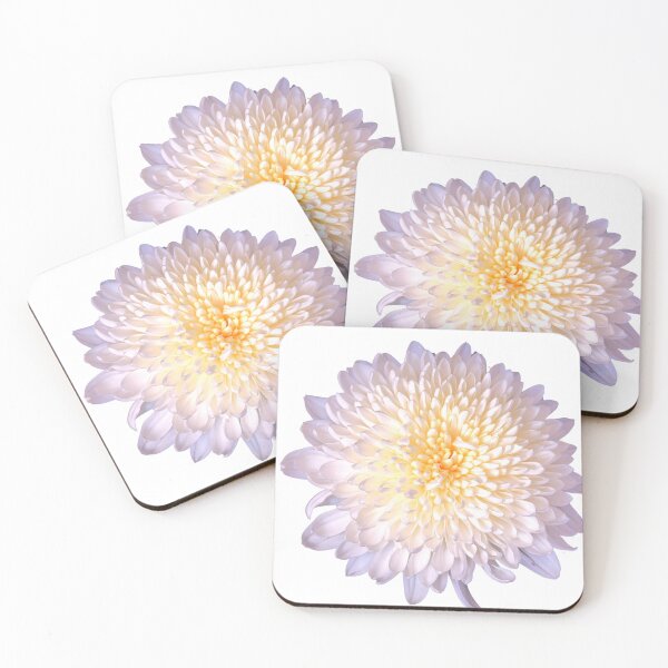 Artikelvorschau, Chrysanthemenblume entworfen und verkauft von IgorKovalenko.