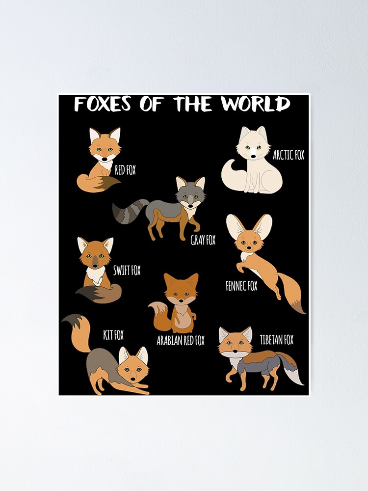 Foxes Of The World Funny Fox Stuff Animals Educational Gifts - Foxes Of The  World - Tapestry