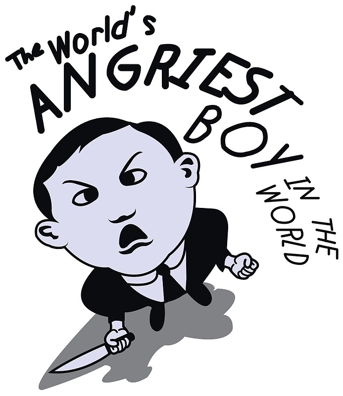 Albums 100+ Images world’s angriest boy in the world book Latest
