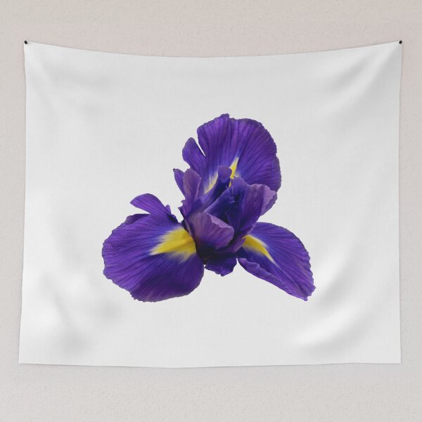 Item preview, iris flower  designed and sold by IgorKovalenko.