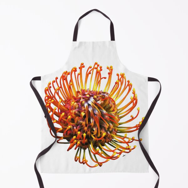 Item preview, Leucospermum flower designed and sold by IgorKovalenko.