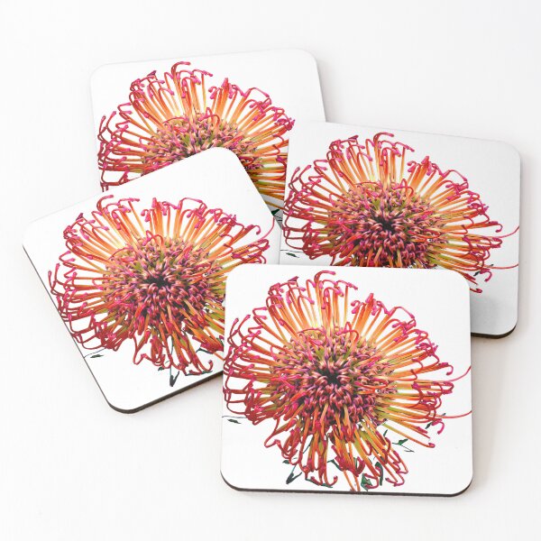 Item preview,  leucospermum flover designed and sold by IgorKovalenko.