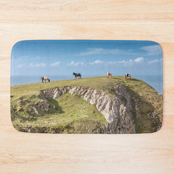 Item preview, Rhossili Bay Horses designed and sold by Dave Hare Photography.
