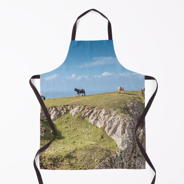 Item preview, Rhossili Bay Horses designed and sold by Dave Hare Photography.