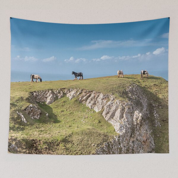 Item preview, Rhossili Bay Horses designed and sold by Dave Hare Photography.