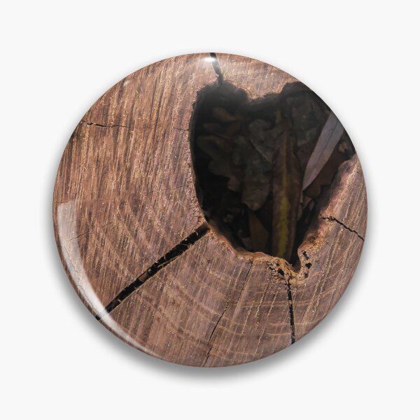 Item preview, cross section of the tree  designed and sold by IgorKovalenko.