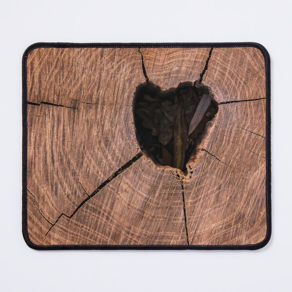 Item preview, cross section of the tree  designed and sold by IgorKovalenko.