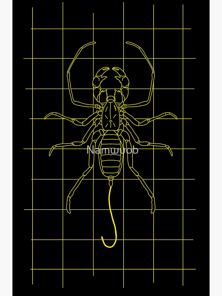 "GRID DRAWING of a vinegaroon in yellow " Sticker by Namwuob Redbubble