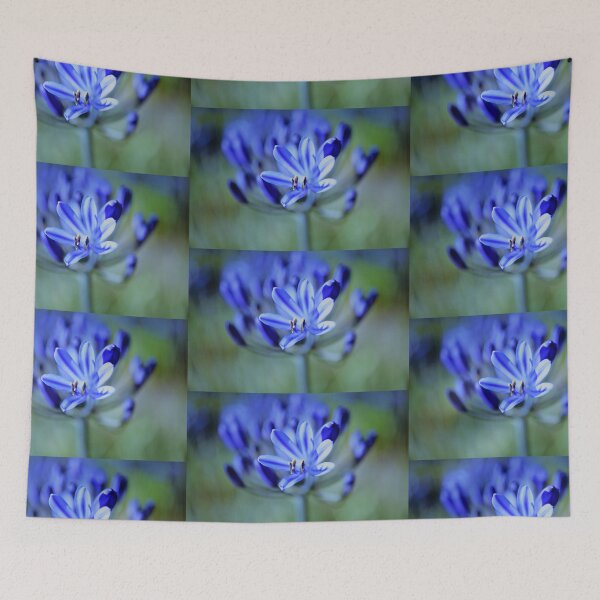 Item preview, Native Agapanthus designed and sold by imaginethis.