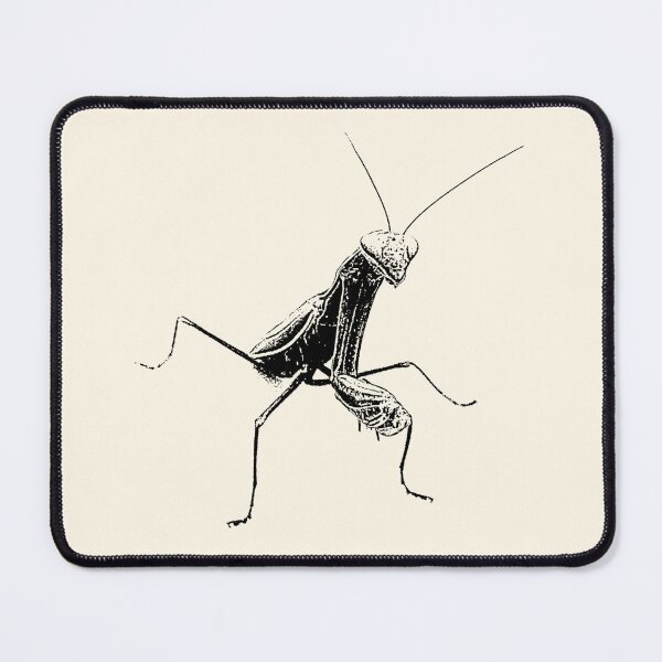 Item preview, Praying Mantis designed and sold by Guardi71.