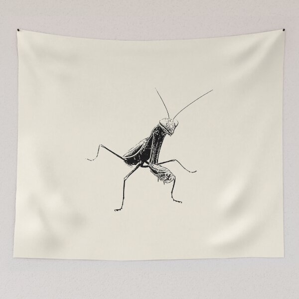 Item preview, Praying Mantis designed and sold by Guardi71.