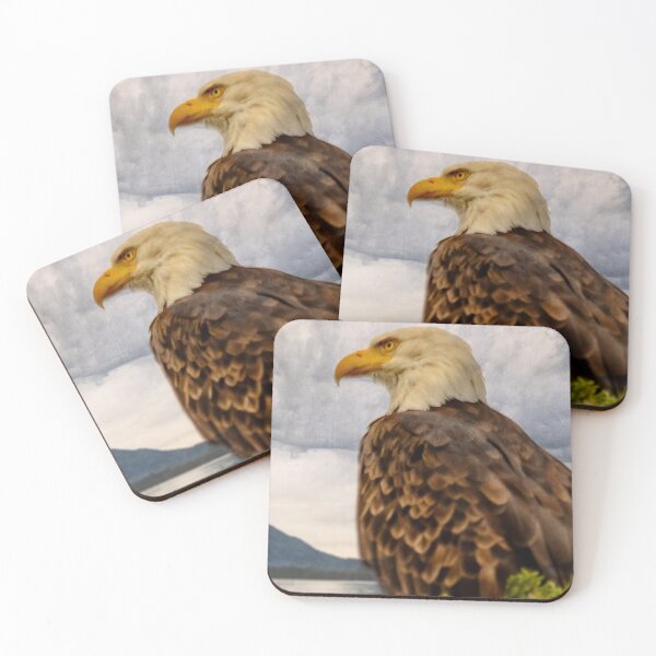 Item preview,  Eagle,Eagle print,Eagle wall decor,Canadian Eagle, Nature wall decor,Canada,Nature,Canada print,panoramic,panorama, art,lake life designed and sold by eyesight4vision.