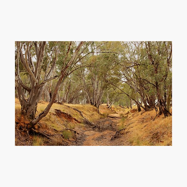 Item preview, Dried up Riverbed... designed and sold by Chris Kean.