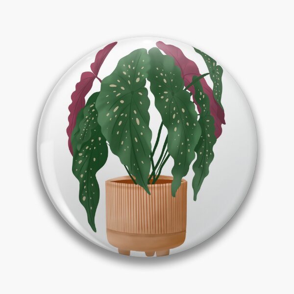 Item preview, Begonia Maculata 5 designed and sold by Ana Moguš.