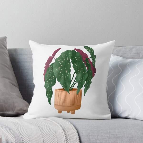 Item preview, Begonia Maculata 5 designed and sold by Ana Moguš.