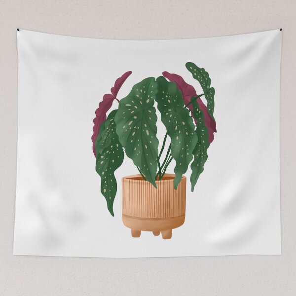 Item preview, Begonia Maculata 5 designed and sold by Ana Moguš.
