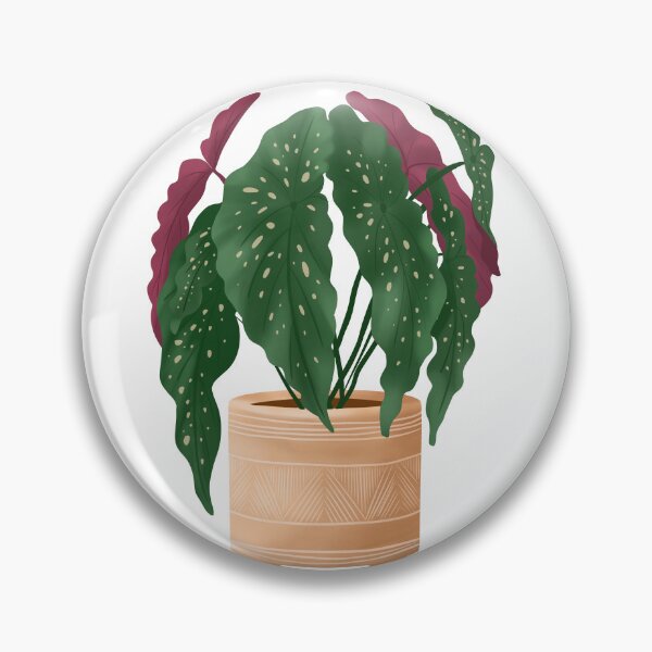 Item preview, Begonia Maculata 5 designed and sold by Ana Moguš.