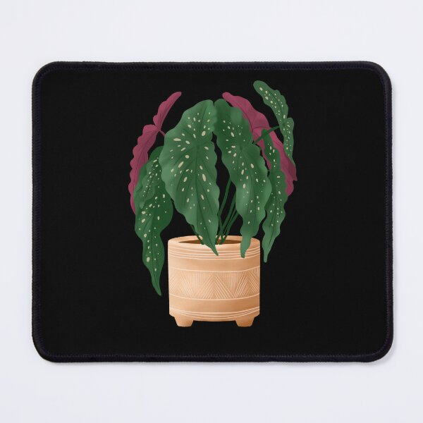 Item preview, Begonia Maculata 5 designed and sold by Ana Moguš.