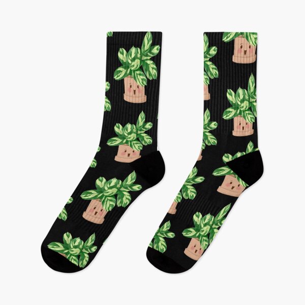 Item preview, Cute Plant Illustration, Clathea Lubbersiana  designed and sold by Ana Moguš.