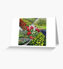Tulips and Hyacinths - Keukenhof Collage Greeting Card
