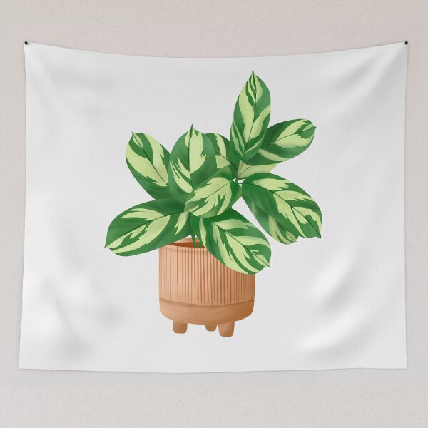 Item preview, Cute Plant Illustration, Calathea Lubbersiana 4 designed and sold by Ana Moguš.
