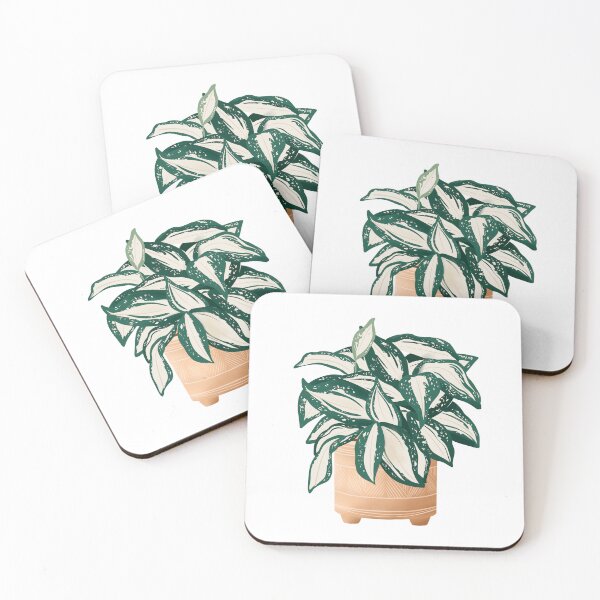 Item preview, Dracaena Surculosa  designed and sold by Ana Moguš.