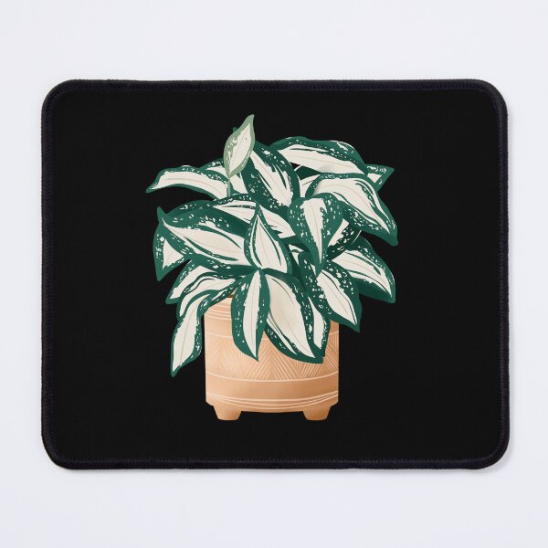 Item preview, Dracaena Surculosa  designed and sold by Ana Moguš.