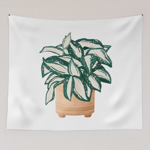 Item preview, Dracaena Surculosa  designed and sold by Ana Moguš.