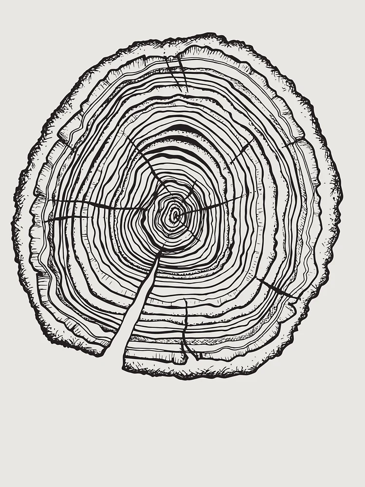 Thumbnail 6 of 6, Premium Oversized Sweatshirt, Tree Rings designed and sold by Singing Owl Crafts.