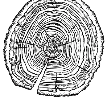 Artwork thumbnail, Tree Rings by Singing Owl Crafts