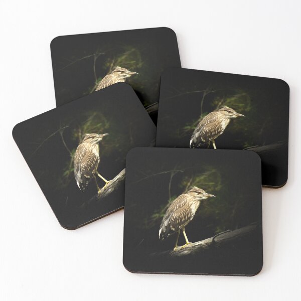 Item preview, Young night heron designed and sold by Guardi71.