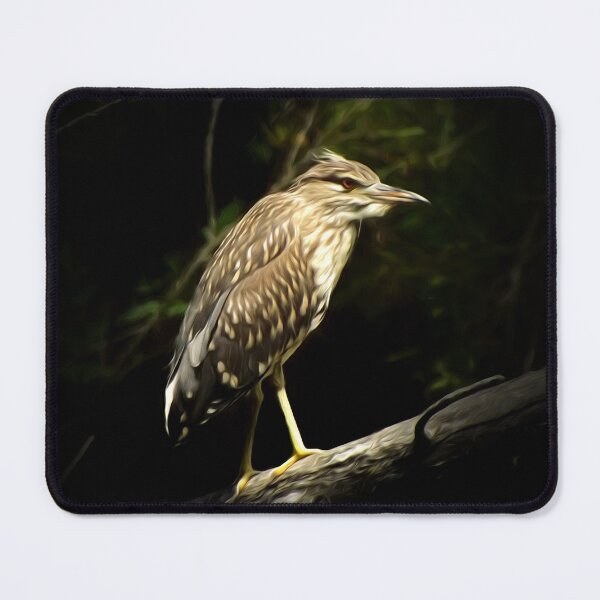 Item preview, Young night heron designed and sold by Guardi71.
