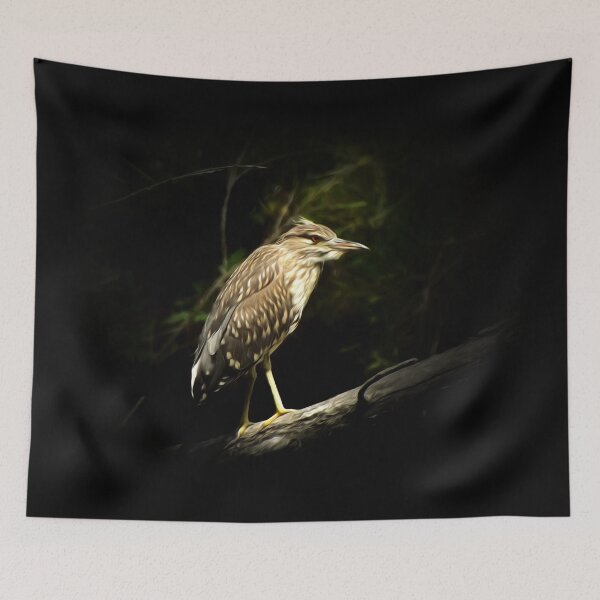Item preview, Young night heron designed and sold by Guardi71.