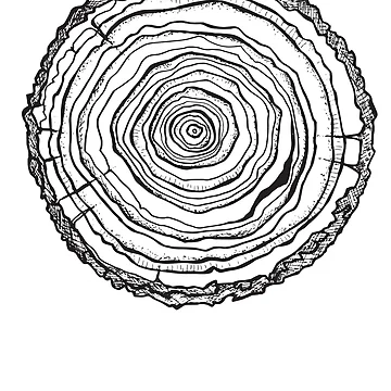 Artwork thumbnail, Tree Rings by Singing Owl Crafts