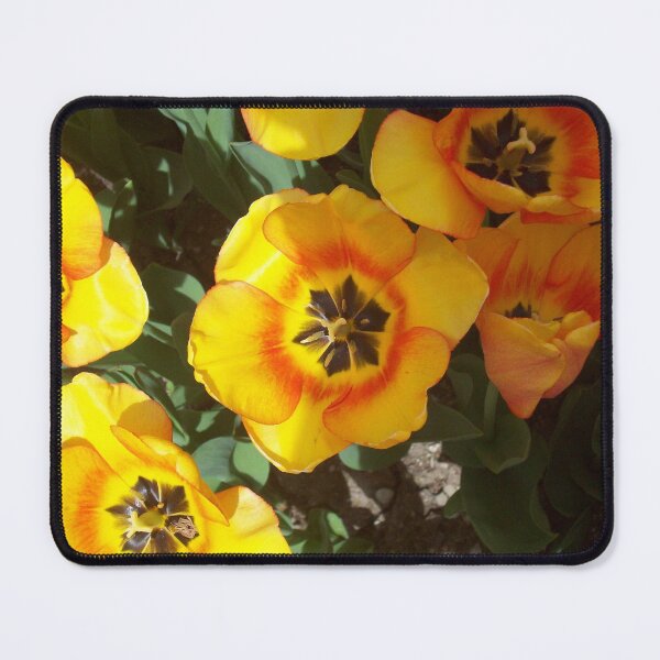 Item preview, yellow flowers designed and sold by barbich.