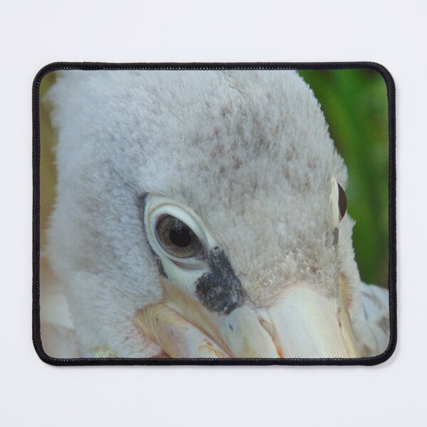 Item preview, Pelican Close Up designed and sold by FastRapidash.