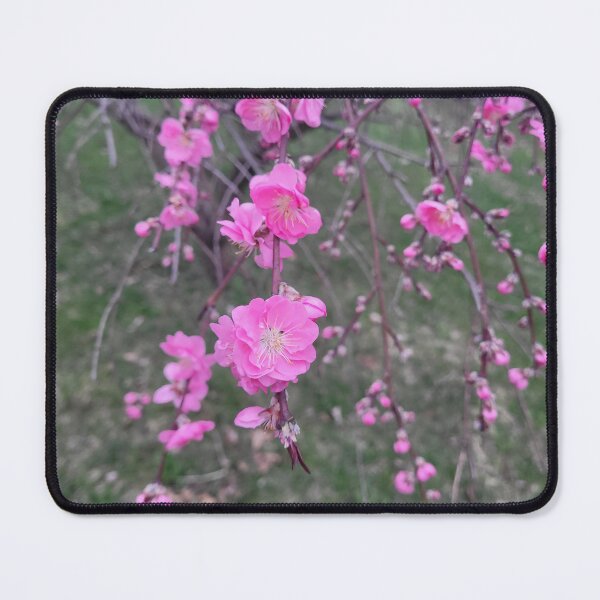 Item preview, Pink flowers designed and sold by PhippsyArt.