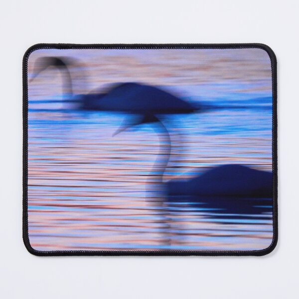 Item preview, Dream of the swans. Whooper Swan designed and sold by Jouko Lehto Photography.
