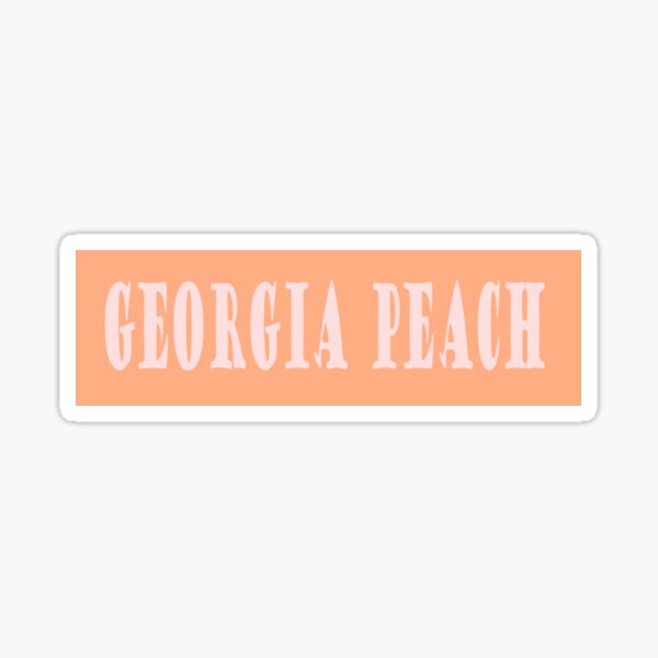 Vintage Georgia Wildlife Patrol Reflective Vinyl Decal Sticker Resources GA
