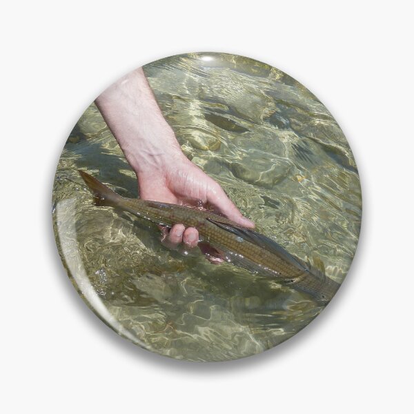 Item preview, Catch and release - A Grayling fish being released back into a river by a fisherman on the Soca River in Slovenia designed and sold by SnapTPhotograph.