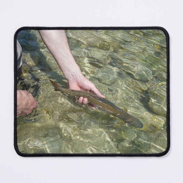 Item preview, Catch and release - A Grayling fish being released back into a river by a fisherman on the Soca River in Slovenia designed and sold by SnapTPhotograph.