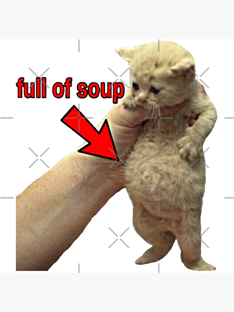"Full of soup cat" Poster for Sale by TheBigSadShop | Redbubble