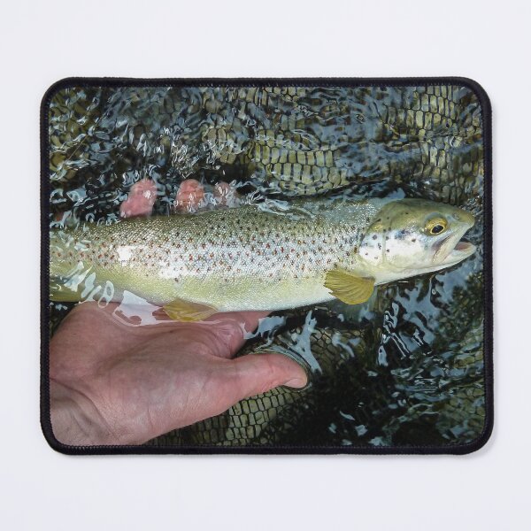 Item preview, A marble and brown trout hybrid fish in a fishing net after being caught on the Soca River, near Tolmin, Slovenia designed and sold by SnapTPhotograph.