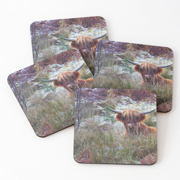 Item preview, Scottish Highland Cow designed and sold by FastRapidash.