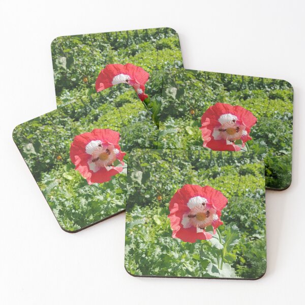 Item preview, wild poppy.... designed and sold by barbich.